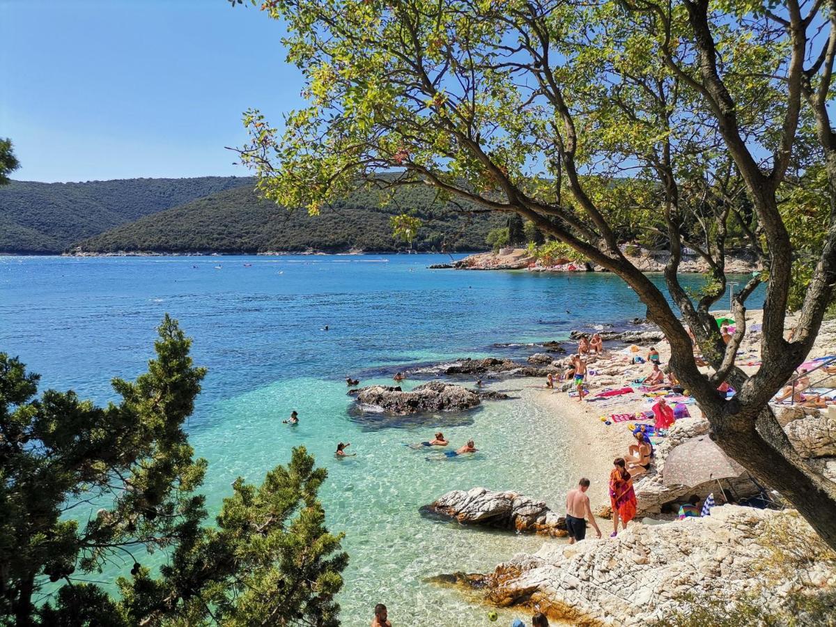 Lovely Branko With Balcony And Parking Apartment Rabac